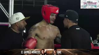 EMIL VS EL GRINGO MARCOS  CELEBRITY COMBAT [upl. by Owens]