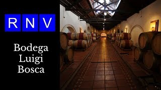 Tour Virtual Bodega Luigi Bosca Mendoza Argentina RNV  Turismo Bodegas y Vinos Argentinos [upl. by Moshe]