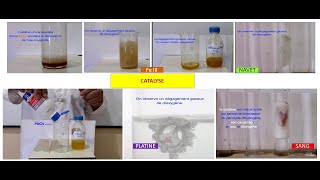 Catalyse homogène hétérogène et enzymatique 2eme BAC [upl. by Quartis]