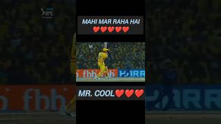 Mr Cool dhoni ipl cricket dhoniforever shortsviral shorts subscribe yt ytshorts ytviral [upl. by Aicatan]