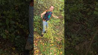 Making woods seem bigger landscaping drainage permaculture treeplanting forest motivation [upl. by Tneicniv]