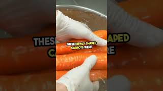 The Truth About Baby Carrots 🥕🥕 [upl. by Nivrem504]