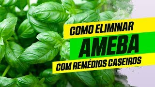 Como eliminar ameba com remédios caseiros [upl. by Pelagia]