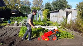 ⚙️ Einachser mit Gartenfräse im Einsatz  Rasen neu anlegen [upl. by Lightman]