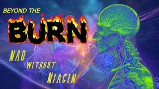 Beyond the burn NAD without Niacin [upl. by Aibar471]