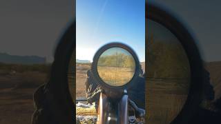 220 Swift The Worlds Fastest Commercial Cartridge Firing from a Ruger M77 “Bull Barrel” [upl. by Noet]