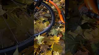 kickbike самокат Катаем погода осень 🍂 [upl. by Arat]