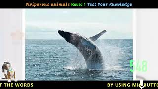 SPEAKING ENGLISH VOCABULARY VIVIPAROUS ANIMALS NAME HINDI BANGLA TELUGU TAMIL URDU KANNADA MALAYALAM [upl. by Bourke]