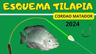 MELHOR ESQUEMA PARA TILAPIAS 2024 [upl. by Lardner]