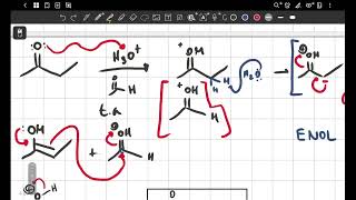 Mecanismo de condensación aldolica en medio ácido [upl. by Zorah]