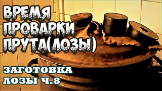 🌿⚡️ВРЕМЯ ПРОВАРКИ ПРУТАЛОЗЫ 🔥➤ЗАГОТОВКА ЛОЗЫ Ч8 ➤ПЛЕТЕНИЕ из ЛОЗЫ WICKERWORK [upl. by Ynnor]