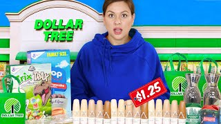 I Bought the Dollar Tree Products EVERYONE is Looking For [upl. by Driskill]