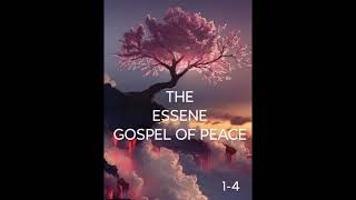 The Essene Gospel of Peace  The Essene Book of Revelations [upl. by Ailat]