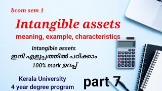 Intangible assets meaning example characteristicsin Malayalam  Kerala University 4 year degree [upl. by Notsob954]