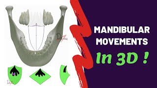 Mandibular Movements in 3D  SUPER EASY [upl. by Odraccir372]