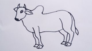 How to draw a Bull easy drawing step by stepsimple Bull drawing tutorial [upl. by Anwad615]