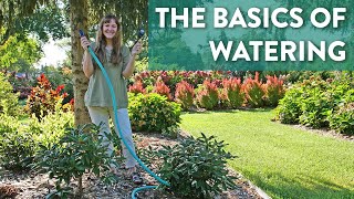 How to Water Shrubs Properly  Knowing When and How to Water [upl. by Oleusnoc]