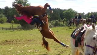 Horse flips on rider [upl. by Charmain]