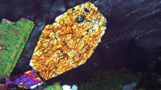 Amphibole automorphe au microscope polarisant LPA [upl. by Stiegler]