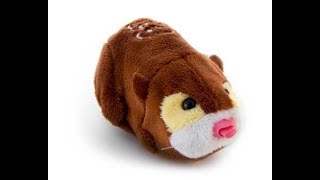 Zhu Zhu Pets Review On Captain Zhu [upl. by Campy]