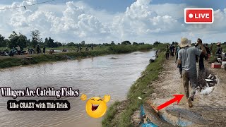 MINDBLOWING Real Life Fishing Adventures in Countryside bigfish fishingtips flood [upl. by Xam]