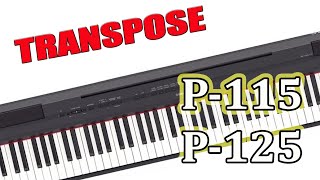 PIANO YAMAHA P105 P125 Função TRANSPOSE [upl. by Naellij]