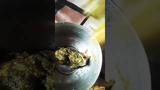 Palak paneer ytshorts food vegitariandish cooking recip palakpaneer [upl. by June]