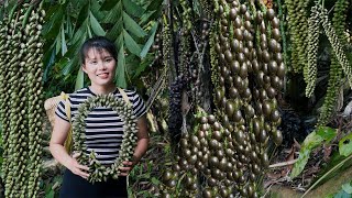 Harvest fruit in natural forest  bring to market to sell  Em Tên Toan [upl. by Anoerb424]