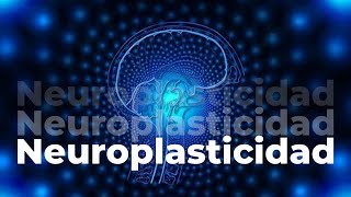 ❄️ Neuroplasticidad cerebral 3 ejercicios paso a paso [upl. by Nomae]