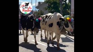 La Désalpe de Blonay SUISSETVSuisse [upl. by Schwerin842]