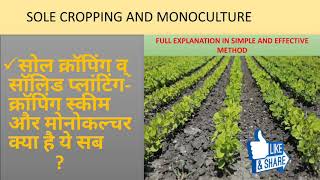 Monocropping Sole cropping and Crooping scheme [upl. by Auqinal]