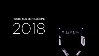 Interview Laurent Dufau  Château Calon Ségur  Millésime 2018 [upl. by Ruff]