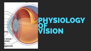 PHYSIOLOGY OF VISION [upl. by Norvin]