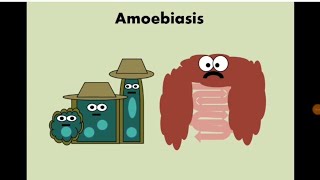 Entamoeba histolytica Amoebiasis الأميبا  الدوسنتاريا [upl. by Fiertz]