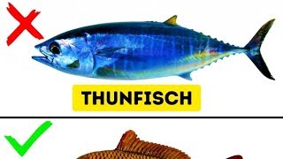 9 Fischarten die Du Nicht Essen Solltest [upl. by Debarath]