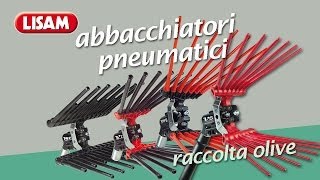 Abbacchiatori pneumatici Lisam  I fantastici 4 [upl. by Tal16]