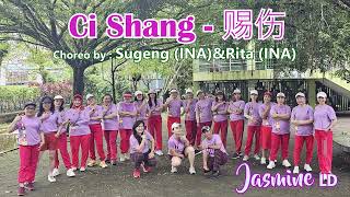 Ci Shang 刺伤 demo by Jasmine LD [upl. by Eanal]