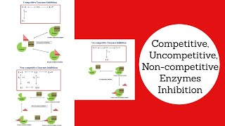 Competitive Uncompetitive amp Non Competitive Inhibition Explained Biochemical amp Bioprocess Engg [upl. by Marlene17]