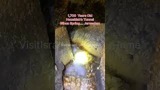 Hezekiah tunnel shorts israel jerusalem history shortvideo [upl. by Alane]