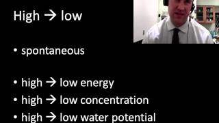 Energy chemistry review part 1  2 [upl. by Asirram]