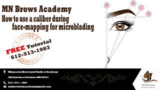 How to use a caliber during facemapping for microblading  FREE Tutorial [upl. by Rozanna]