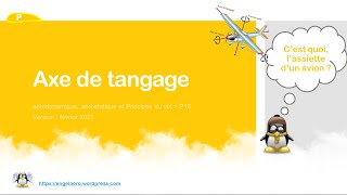 🛫Axe de tangage BIA Principes du vol🎈16 [upl. by Annaujat]