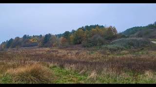 Silverhill wood photography Ft Nottinghamshire peak 204m and minor statue [upl. by Bortz]