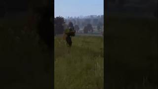 SLIDING INTO DAYZ BE LIKE  DAYZ ft TheBaconHunter [upl. by Aicil]