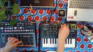 Dawless Jam 1 Arturia Drumbrute Impact amp Microbrute [upl. by Aivital]