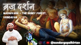 Madhuvana  The Honey Forest 🍯🌸 viral religion gita love bhaktivibes spirituality divinepower [upl. by Otineb]