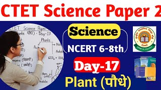 CTET Science Preparation Paper 2  CTET Science Paper 2  CTET 2024 Science Plant NCERT [upl. by Burlie]