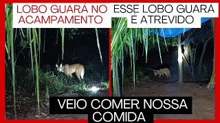 NESSE ACAMPAMENTO RECEBEMOS UMA VISITA DO LOBO GUARÁ NA MADRUGADA E O SOM DA NATUREZA E PESCA [upl. by Aleta]