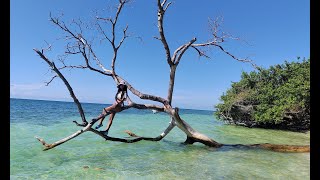 ISLA MUCURA en el archipiélago de San Bernardo  Colombia [upl. by Isacco]