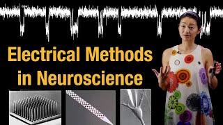 Electrical Methods in Neuroscience Multielectrode Recordings Spike Sorting Raster Plots [upl. by Okika]